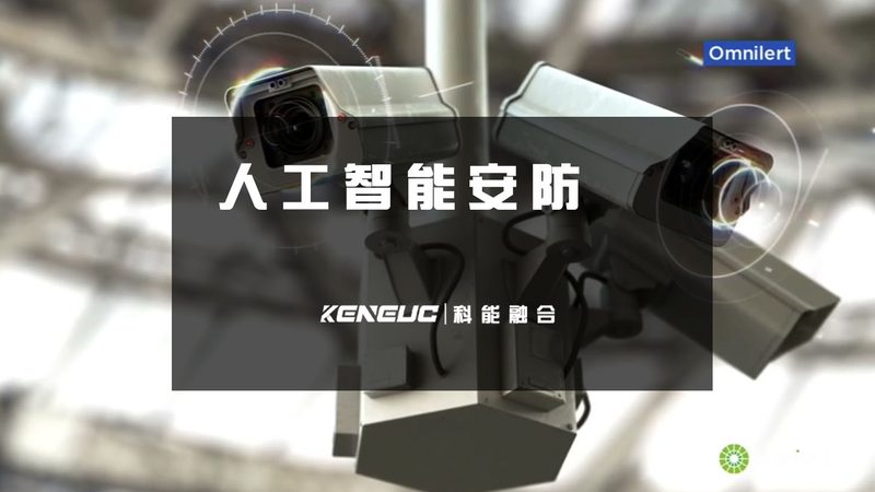 财务报表OCR识别定制开发：按需定制的智慧之道