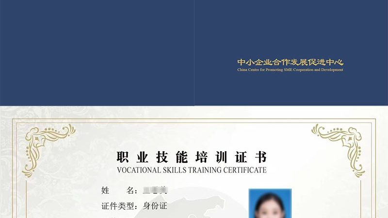 AI解决方案报价明细：行业标准揭秘与解读**